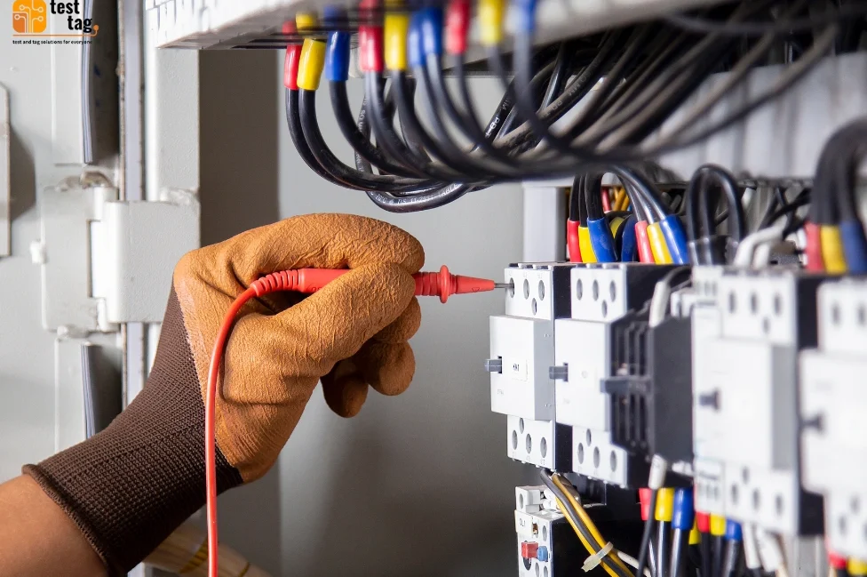 test and tag Auckland